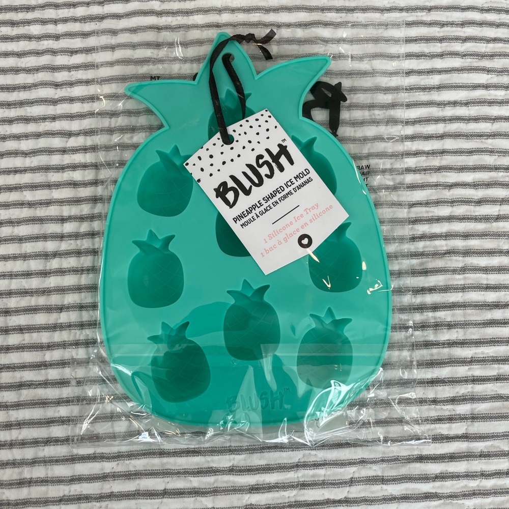 Blush Pineapple Shaped Ice Mold NWT